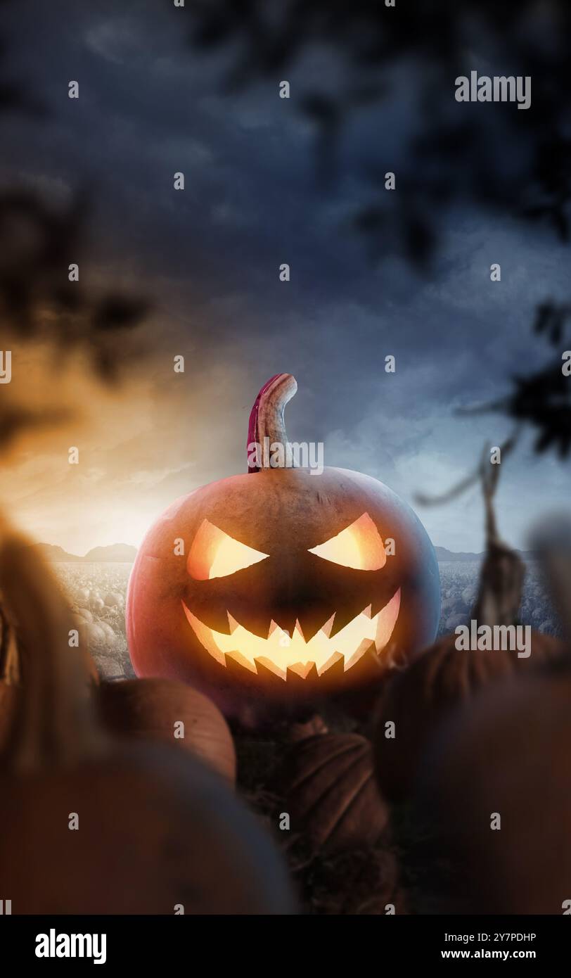 Buon Halloween! Una zucca scolpita in un campo spaventoso e disgustoso di notte. Foto paesaggio composita. Foto Stock