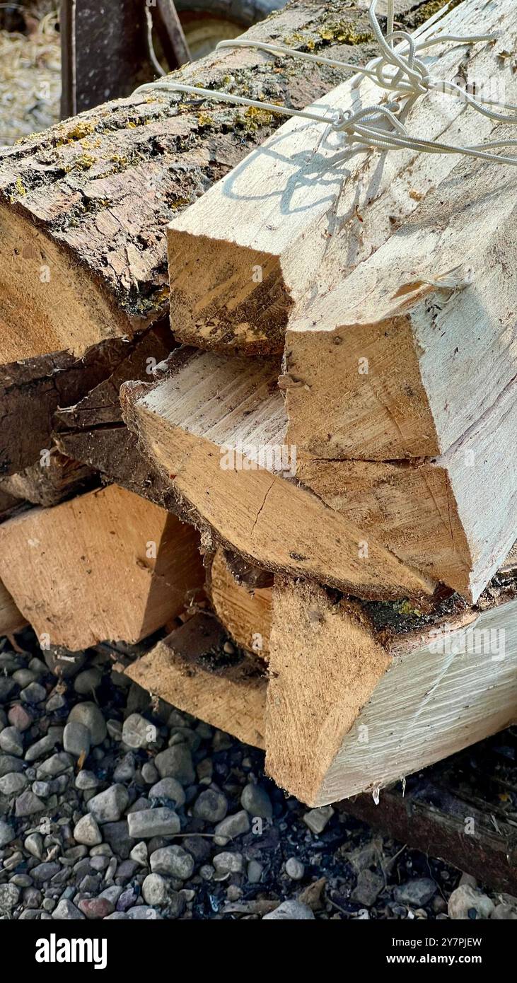Primo piano di un fascio di legna da ardere. Legna da ardere per fare fuoco. Raccolta di legna da ardere. Preparare legna da ardere per barbecue - Immagine stock catturata con smartphone