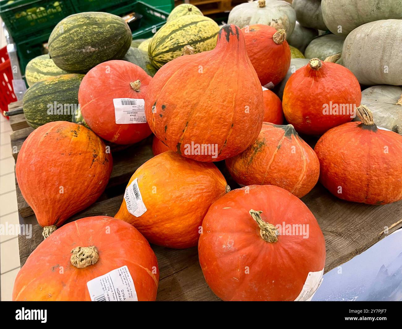 Zucca Hokkaido sullo scaffale del negozio. Comprare e vendere zucche. Zucca per il cibo e l'arredamento. Halloween, raccolta, festa del raccolto. Sano - Immagine stock catturata con smartphone