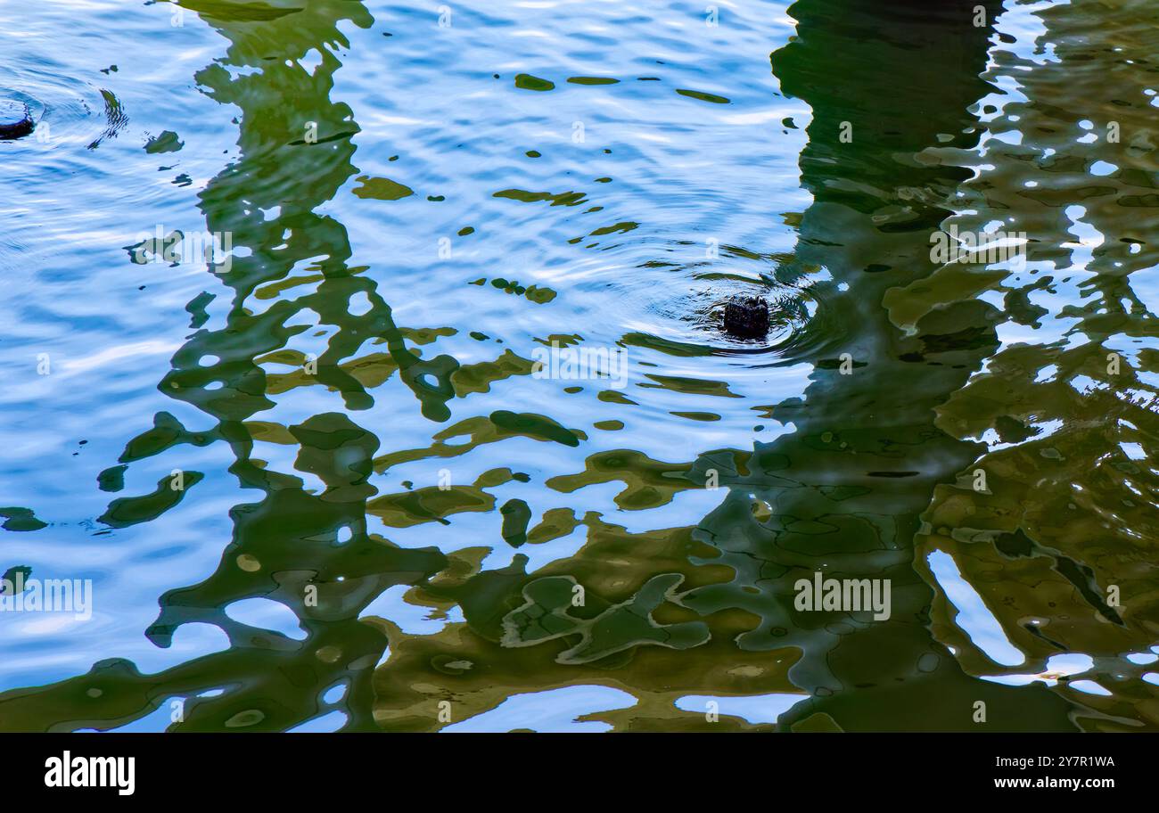 L'acqua torbida si riversa tra i pali di cemento che sostengono Little Island, un parco artificiale che sostituisce il molo 54 sul fiume Hudson. Foto Stock