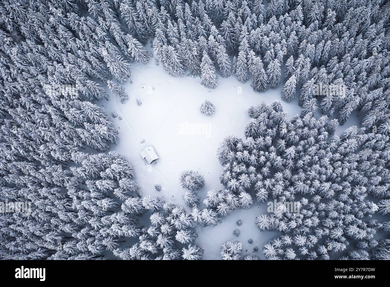 Accogliente cabina in legno nella foresta ghiacciata delle montagne invernali. Vista dall'alto del drone aereo. Fotografia di paesaggi Foto Stock
