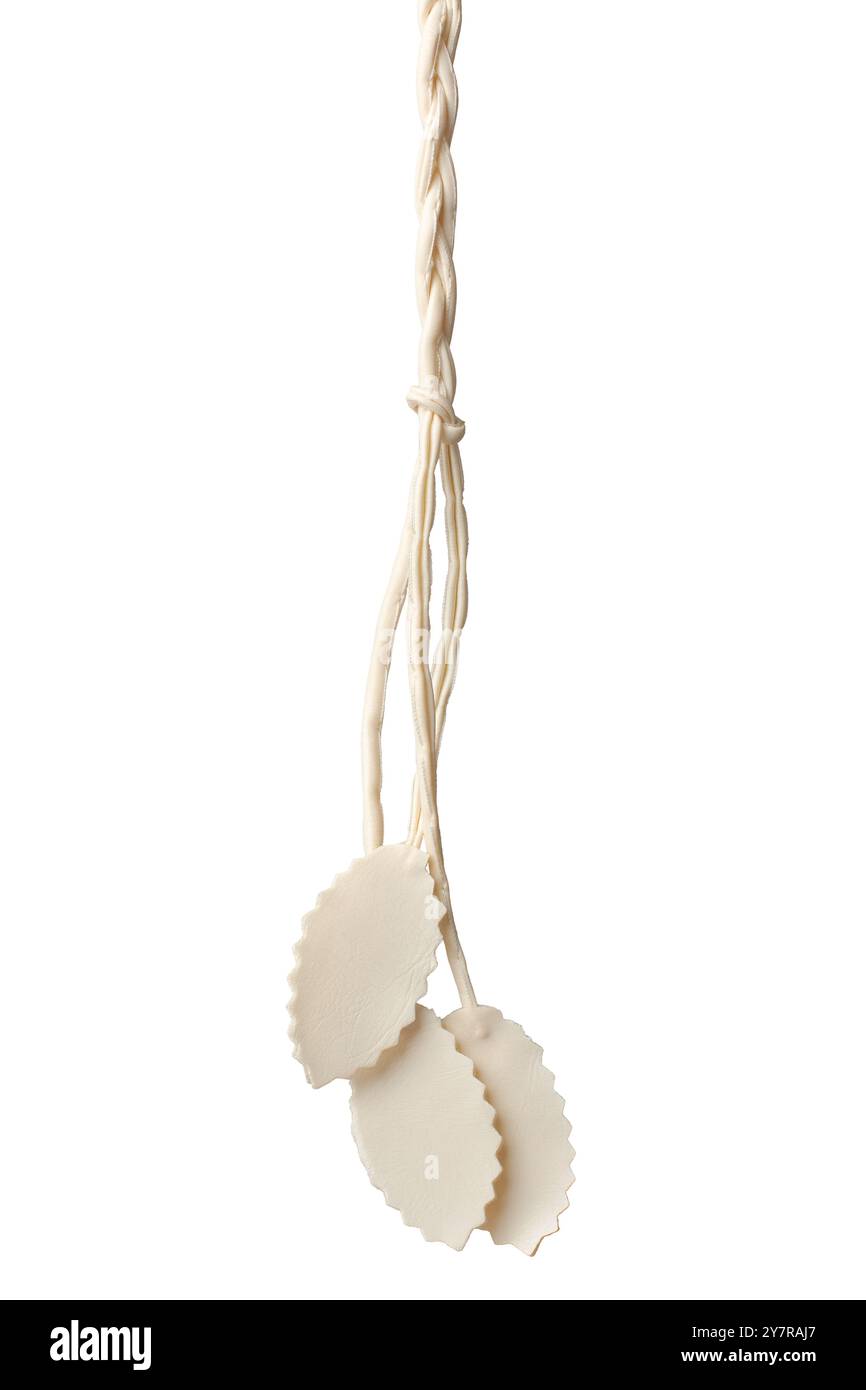 etichette vuote a forma di foglia appese su corda intrecciata sfondo bianco isolato, codice colore beige chiaro modello di mock-up vuoto per la progettazione Foto Stock