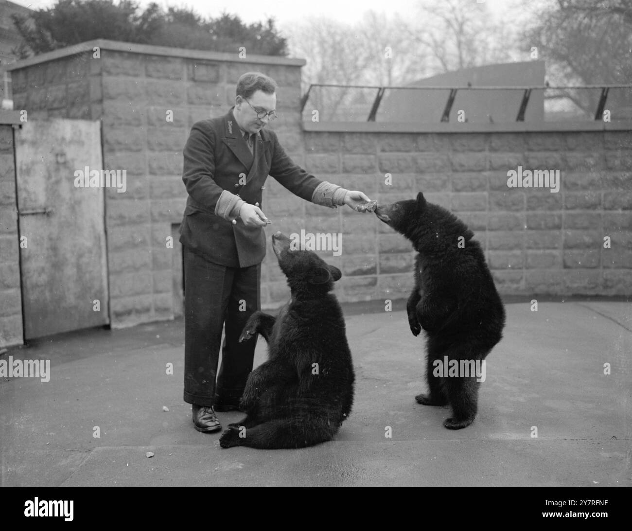 Lola e Pete a Londra. Il custode Whitehead dello zoo di Londra fa amicizia con gli orsi canadesi Lola e Pete (a destra) che sono arrivati a Londra qualche giorno fa e stanno facendo la loro prima apparizione pubblica. Immagine di Reg Palmer. PJ/73161. Foto di notizie internazionali. Foto Stock
