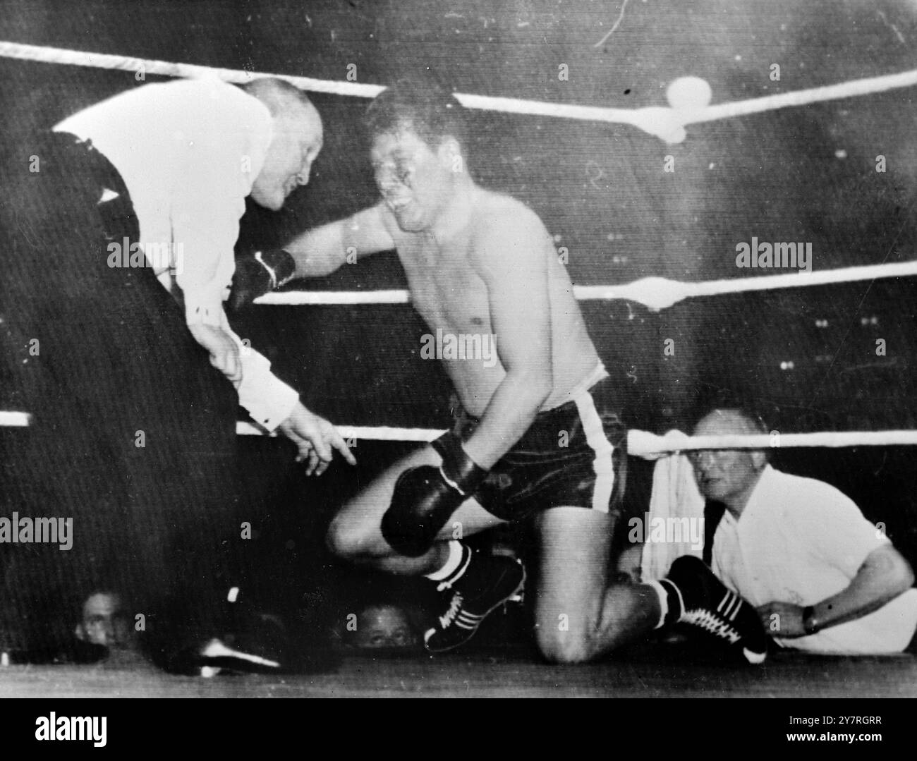 Il campione europeo dei pesi massimi cubani KO 19.11.53 Nino Valdes, il campione cubano di pugilato dei pesi massimi e terzo nelle classifiche mondiali, ha eliminato il tedesco Heinz Neuhaus, campione europeo, nel quarto round della lotta non titolata in Germania questa settimana. Una folla di 19.000 persone assistette alla lotta, che ebbe luogo a Dortmund Westfalenhalle. La foto INP mostra il campione tedesco, Heinz Neuhaus, che conta sulle ginocchia. Foto Stock