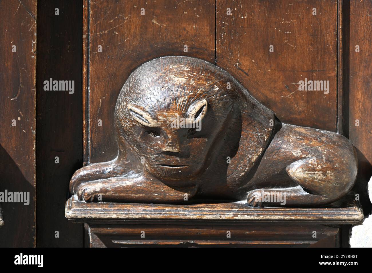 Leone di legno intagliato in pietra sulla Casa del leone, porta del leone o porte aux Lions nella città vecchia di Castellane Alpes-de-Haute-Provence Francia Foto Stock