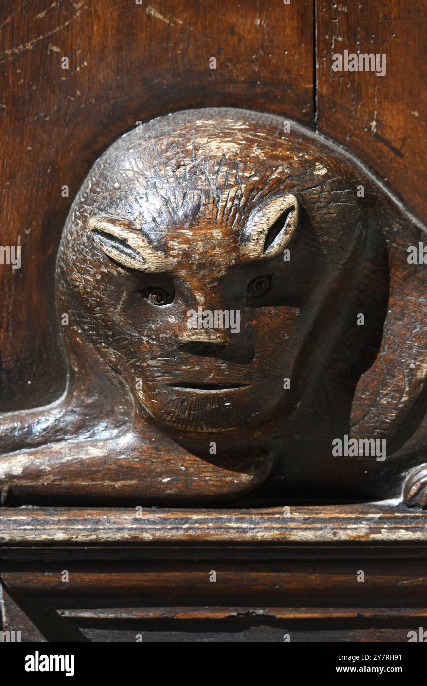 Leone di legno intagliato in pietra sulla Casa del leone, porta del leone o porte aux Lions nella città vecchia di Castellane Alpes-de-Haute-Provence Francia Foto Stock