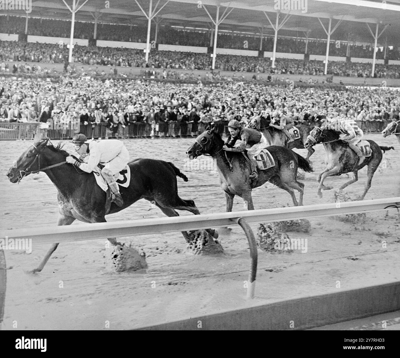 Tommy Gosling finisce terzo nella sua prima corsa negli Stati Uniti l'11 gennaio 1953. Quiet Man (n. 3) ha vinto il quinto evento al Garden State Race Course. Gallant Task (No. 11), guidato da Willie Lester, fu secondo. Il terzo cavallo fu Hercules (No. 10), guidato dal fantino britannico Tommy Gosling nella sua prima corsa americana. Tommy doveva aver cavalcato il Pie King nella corsa da 100.000 dollari, ma il cavallo era graffiato. Foto di notizie internazionali. Foto Stock