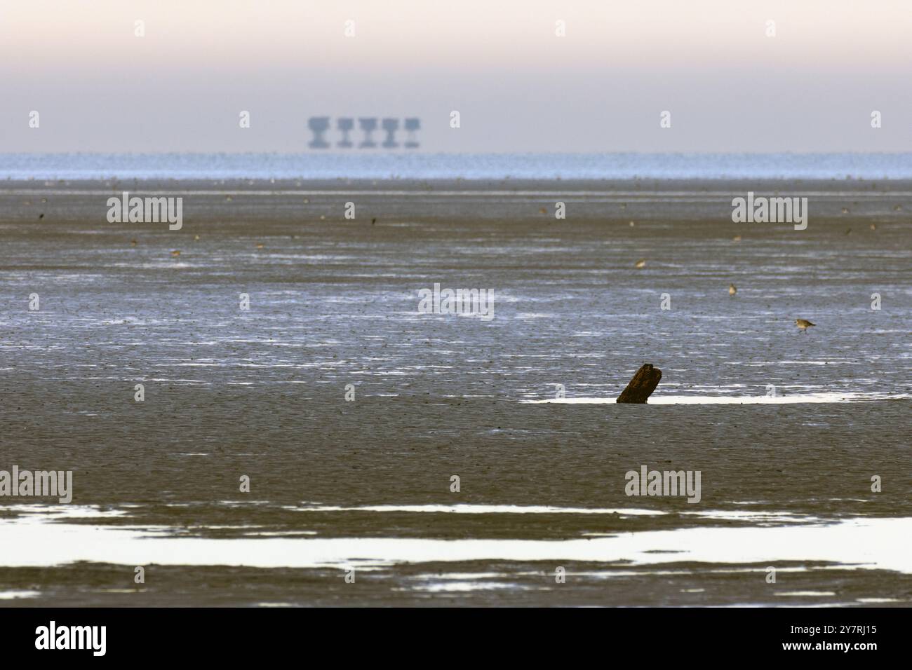 Red Sands Fort, progettato da Guy Maunsell per la difesa antiaerea durante la seconda guerra mondiale, visto da Seasalter Beach, Kent, Regno Unito. Foto Stock