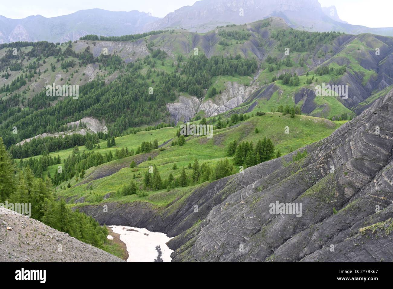Verdi pascoli estivi o pascolo di montagna al col des Champs (2087 m) passo di montagna nel Parco Nazionale del Mercantour nelle Alpi francesi Foto Stock