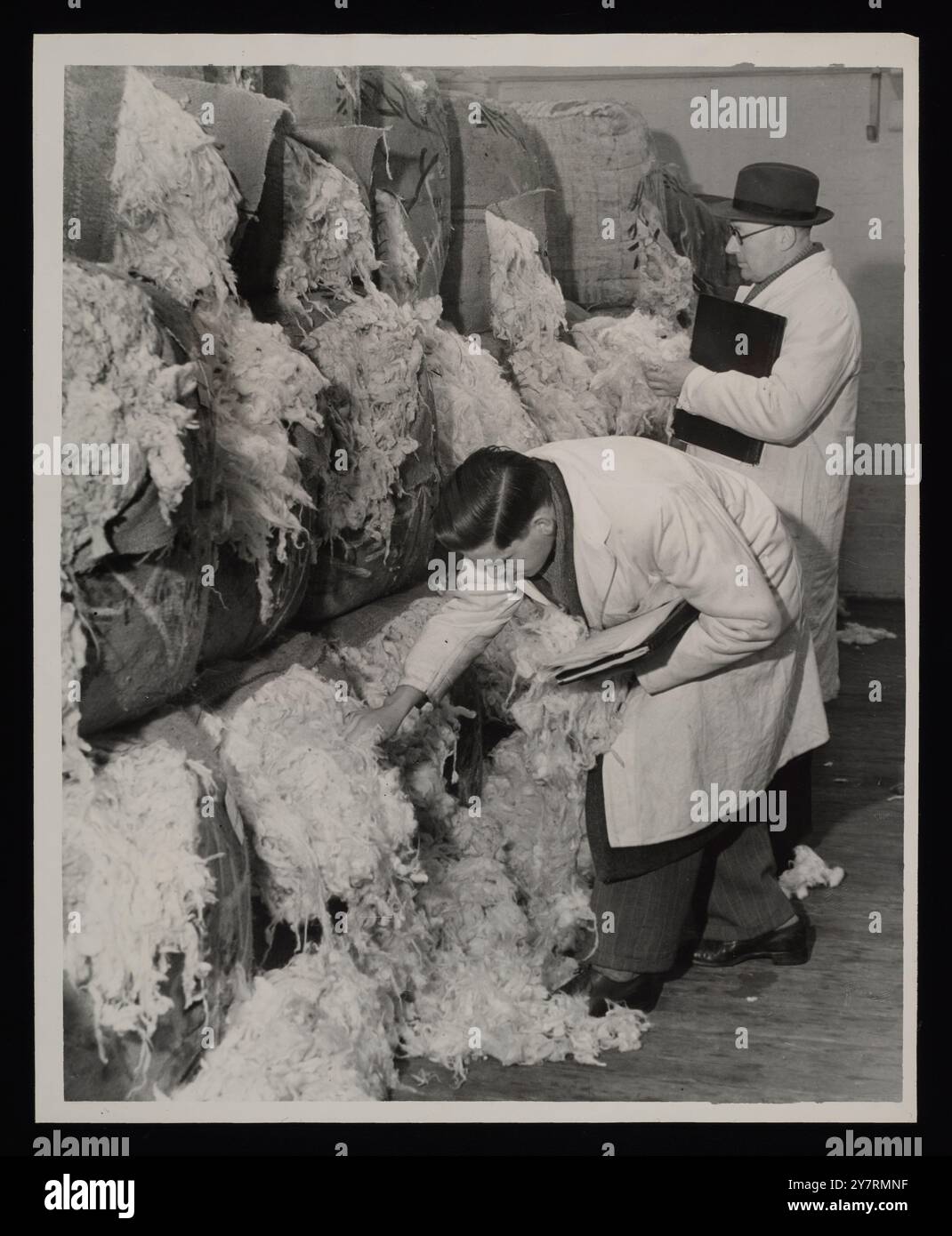 Uno sguardo prima che comprino. - Londra: Alcune delle tante balle di lana che verranno messe all'asta al Wool Exchange di Coleman Street, giovedì, sono ispezionate dagli acquirenti a Crescent Wharf, London Docks. La lana, oggi uno dei prodotti più preziosi al mondo, è arrivata principalmente in Inghilterra dai paesi del Commonwealth. 29 gennaio 1951. Planet News. Foto Stock
