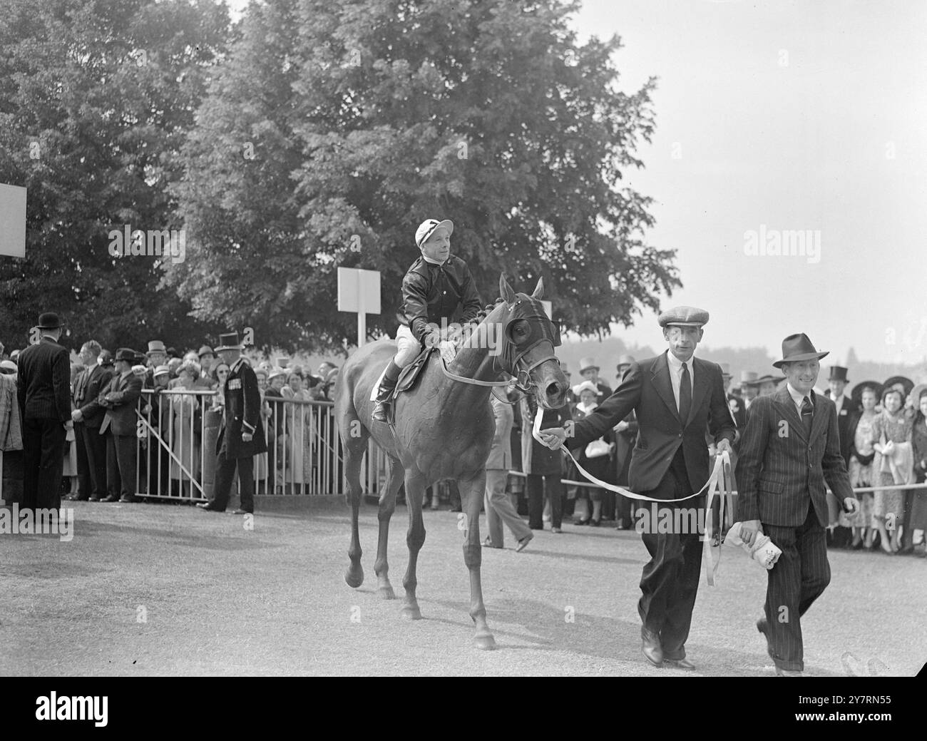 ALYCIDON BATTE IL TARQUINO NERO PER LA GOLD CUP atteso come una gara tra due dei più grandi cavalli addestrati in Gran Bretagna da prima della seconda guerra mondiale - Alycidon di Lord Derby e Mr. Il Black Tarquin di William Woodward, l'americano ha allevato il Black Tarquin - la gara per la Gold Cup è stata vinta oggi ad Ascot da Alycidon ( guidato da D. Smith ) con Black Tarquin ( guidato dal fantino australiano E. Britt) secondo. Sig. Il ponte Heron di J. S Davies ( guidato da T. Burns ) era terzo . Il vincitore di Alycidon mette fine alla serie di successi francesi in questa gara. LE IMMAGINI MOSTRANO:- ALYCIDON ricevendo un apprezzamento da parte del suo fantino, D. Foto Stock