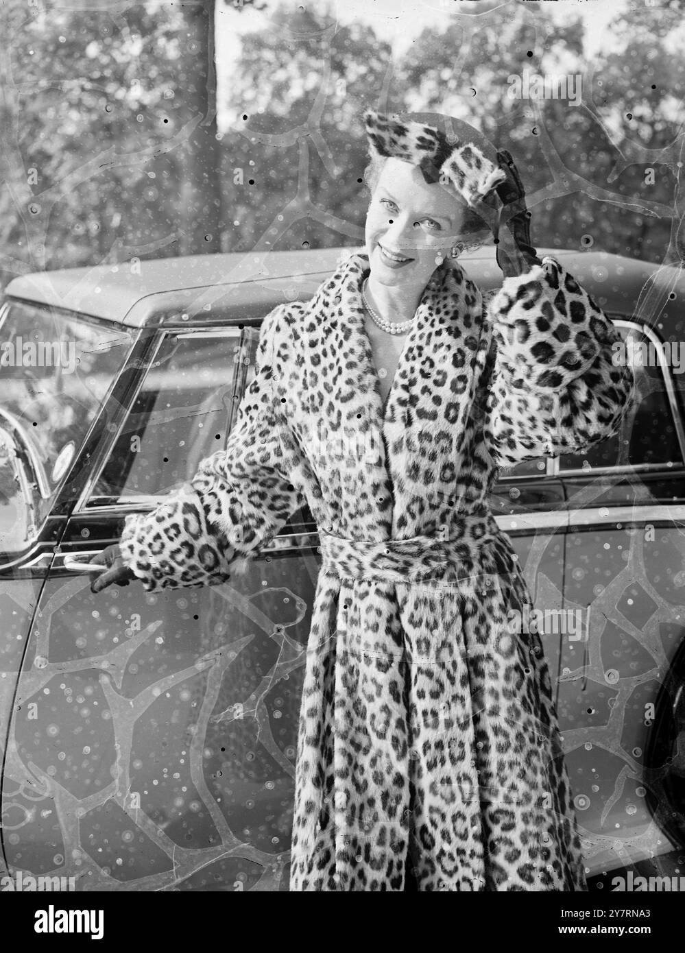 75 ANNI DI PELLICCE. 30.9,53. Le pellicce riprodotte negli ultimi 75 anni sono state esposte in una sfilata di moda allestita oggi al Dorchester Hotel di Londra. L'occasione fu il 75° anniversario della National Fur Company, e 14 creazioni del periodo, realizzate sotto la direzione della signora Longley Moore, direttrice del Museo del Costume, furono esposte insieme agli stili più recenti. La foto di I.N.P. mostra un cappotto leopardato con dorso pieno, parte anteriore in smoking e maniche larghe, del valore di £ 395. Il berretto è in leopardo coordinato. Foto di Jack Davies / International News Photos. Foto Stock