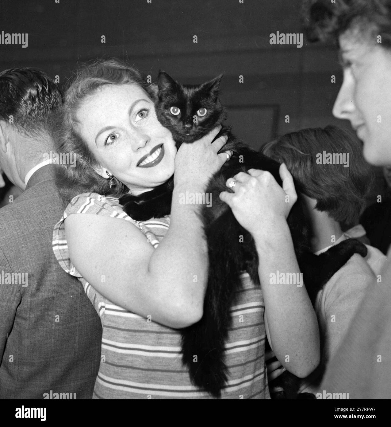 I GATTI HANNO IL LORO PROVINO PER AVERE LA POSSIBILITÀ DI APPARIRE - NELLO SPETTACOLO "BRUNO E SYDNEY". - 7,9.53. - Molte centinaia di gatti da tutta Londra oggi - sono scesi alla porta del teatro Phoenix, Londra, tutti dopo lo stesso lavoro di recitazione di 3 sterline a settimana. - Sono venuti con i loro proprietari in risposta ad una pubblicità "ricercato" - gatto nero per "Bruno e Sydney", stipendio di 3 sterline a settimana e latte. Audizione al teatro Phoenix Theatre, lunedì 7 settembre alle ore II.00. - SPETTACOLI FOTOGRAFICI I.N.P. - Miss Hazel Court l'attrice teatrale - che è una delle stelle del - spettacolo Bruno e Sydney ( fotograp Foto Stock