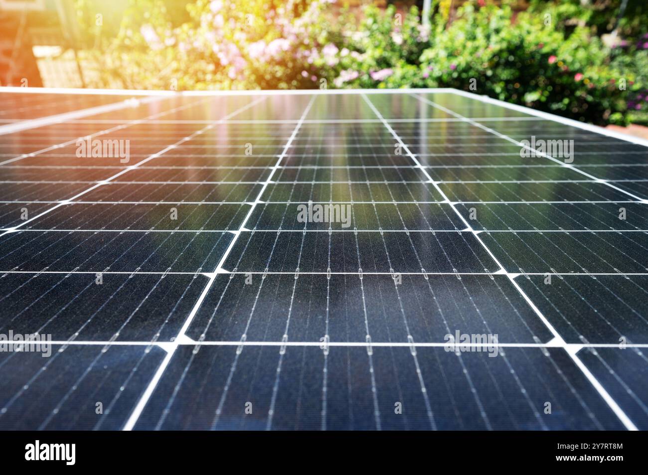Tema della tecnologia dell'energia solare. Pulire il pannello solare su sfondo verde sfocato naturale Foto Stock