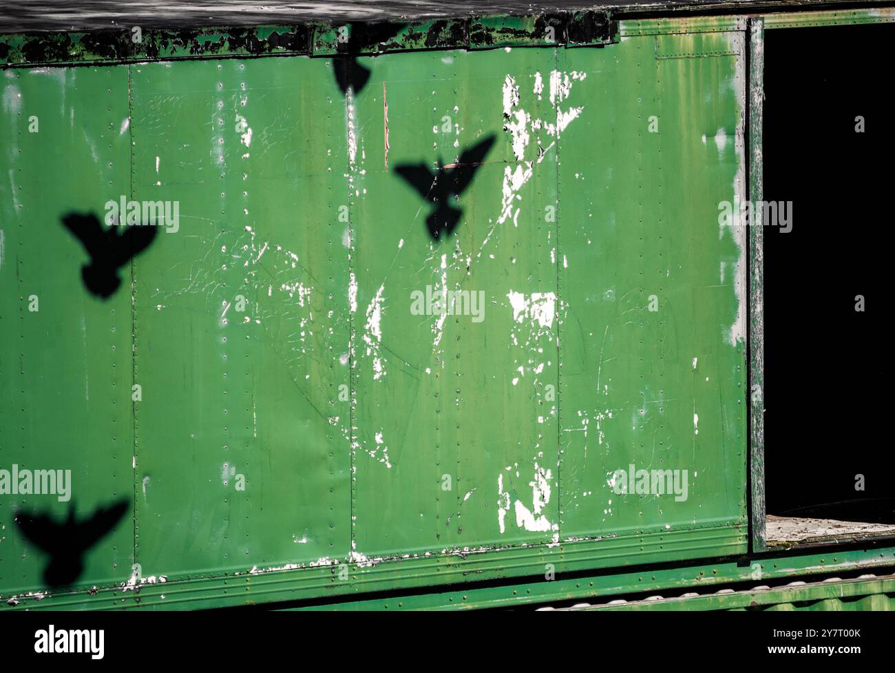 Ombre di piccioni in volo su container verde Foto Stock