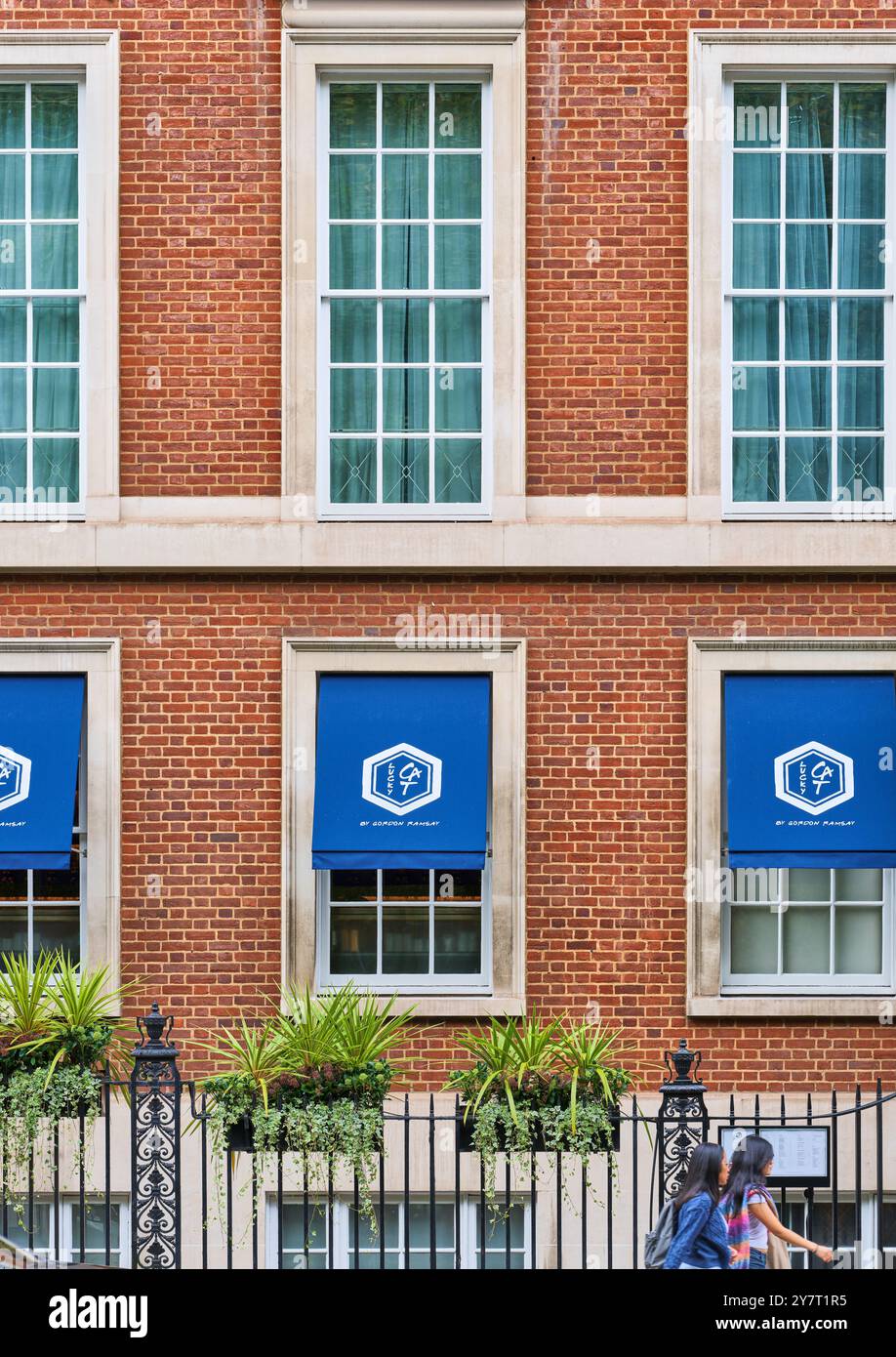 Lucky Cat, Gordon Ramsay Bar & Grill, Mayfair, Londra, Inghilterra. Foto Stock