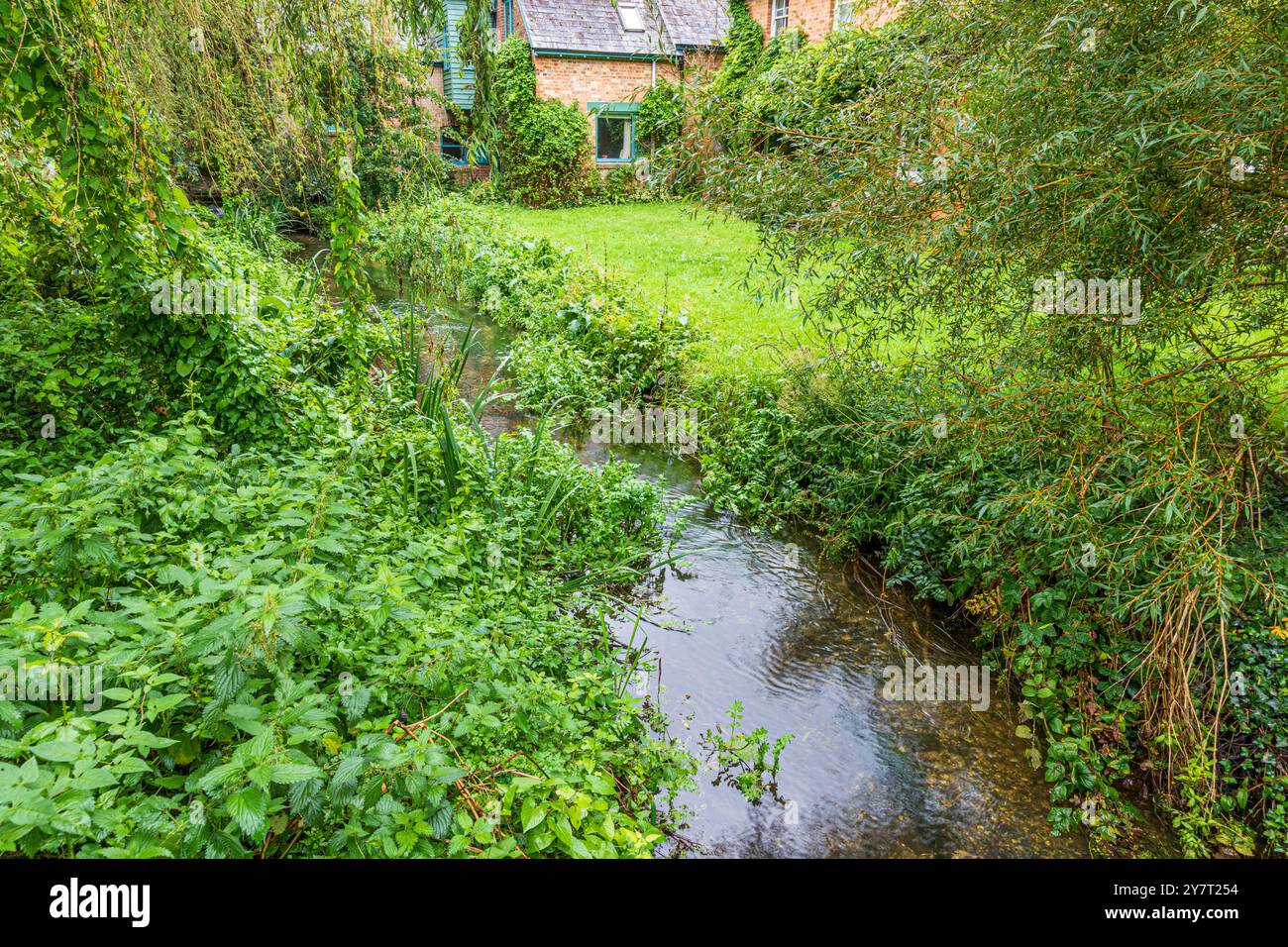 Il delizioso fiume Piddle nel villaggio di Affpuddle, Dorset, Inghilterra, Regno Unito Foto Stock