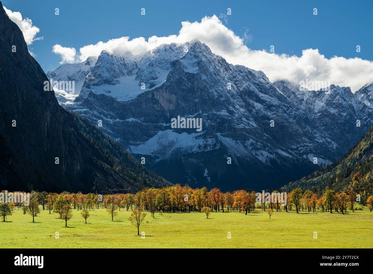 Gli aceri autunnali sul grande Ahornboden di fronte alle pareti rocciose innevate e una banda di nuvole sopra le vette dei monti Karwendel Foto Stock