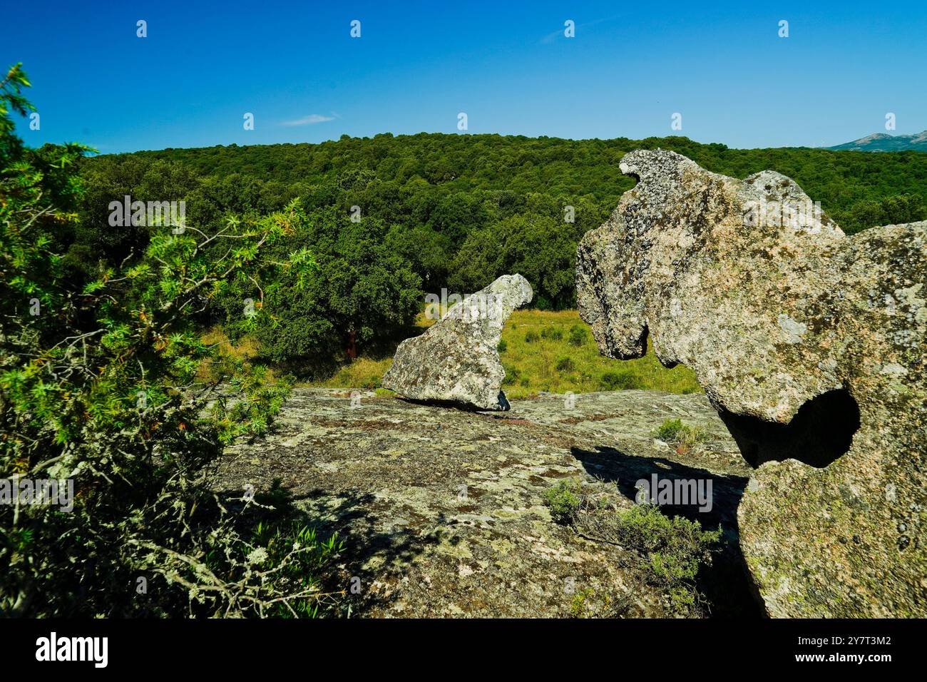 La tipica concentrazione di massi di granito che caratterizza le tombe dei giganti più antiche, costruzioni megalitiche della Sardegna Italia Foto Stock