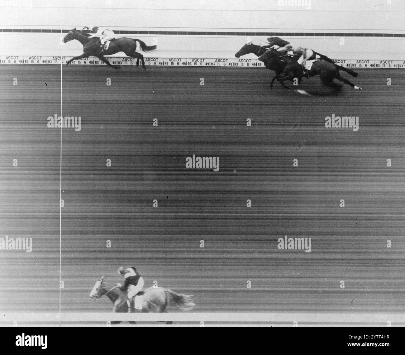 LA FOTOCAMERA RENDE STEROPE VINCITORE DELLA ROYAL HUNT CUP la fotocamera Photo-finish è stata utilizzata nuovamente ad Ascot per decidere il vincitore della grande gara - la Royal Hunt Cup . La decisione è stata presa al signor J.B. Townley's STEROPE, guidato da J. Caldwell, con IMPECCABILE, di proprietà del signor. R. Mollhagga ( Gordon Richards Up ) , secondo e Mr . H.J. Joel 's PRIDE OF INDIA ( E. Smith ) , terzo . FOTO MOSTRA:- la foto-finale della Royal Hunt Cup ad Ascot , che mostra STEROPE ( più lontano dalla fotocamera ) che vince da IMPACCABLE ( in fondo alla foto ) con ORGOGLIO DELL'INDIA , che era terza , combattendo con un altro mo Foto Stock