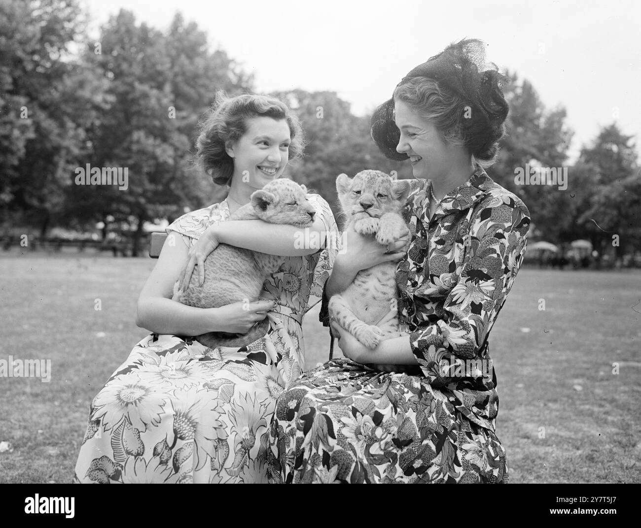 I LORO NOMI dopo essere apparsi in televisione Children's Hour, ai Lion Cubs di quattro settimane di età allo zoo di Londra hanno preso il nome da due annunciatori televisivi, Sylvia Peters e Mary Malcolm. Questa foto scattata allo zoo di Londra mostra Sylvia Peters (a sinistra) con il cucciolo che prende il nome da lei, e Mary Malcolm che tiene "Mary" . 4 agosto 1949 Foto Stock