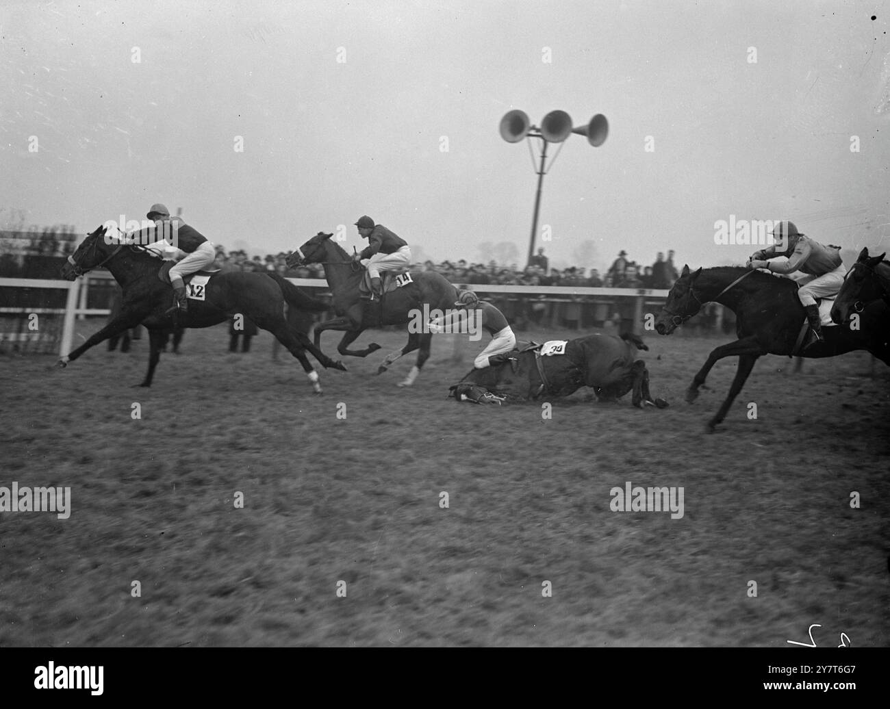 IL COLORBAR CADE A KEMPTON Fall all'ultima recinzione parte il fantino, John HUNTER, dal suo monte Mr C. Hockley's COLORBAR, nella Hounslow handicap hurdle Race alle gare di Kempton Park di oggi (giorno di Santo Stefano) 26 dicembre 1950 Foto Stock