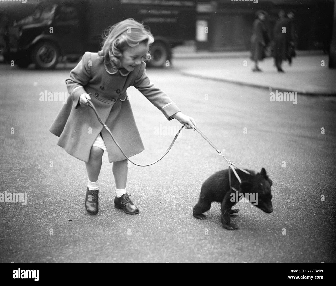 Animali ALLA MODA 19 maggio 1950 i cuccioli di orso, sembra, sono attualmente animali alla moda, e Patsy Palmer, figlia di un Camden Town, Londra, proprietaria di un negozio di animali, insiste per essere in grande stile. Viene mostrata qui mentre prende il cucciolo di orso nero dell'Himalaya di quattro mesi di suo padre per una passeggiata, durante la quale l'imbracatura speciale del cucciolo si rivela utile per frenare la sua curiosità. Foto Stock