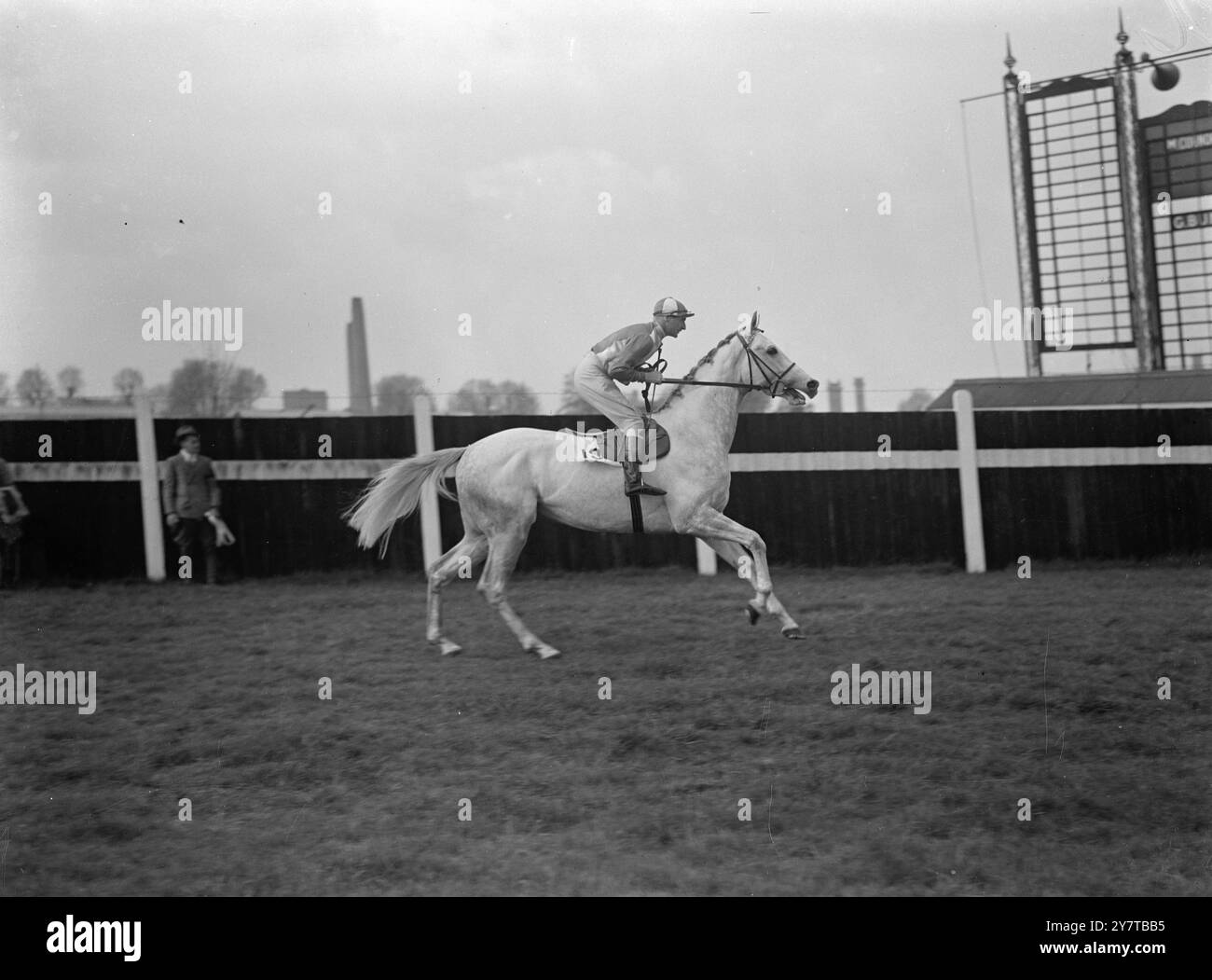 GRIGIA FLASH 19 aprile 1950 narici sfavillanti e coda in streaming, il concorrente di Sir Humphrey de Trafford del 2000 Guineas Donore crea un classico film d'azione. Il grigio, guidato qui da W H Carr e' addestrato dal capitano Boyd Rochfort Foto Stock