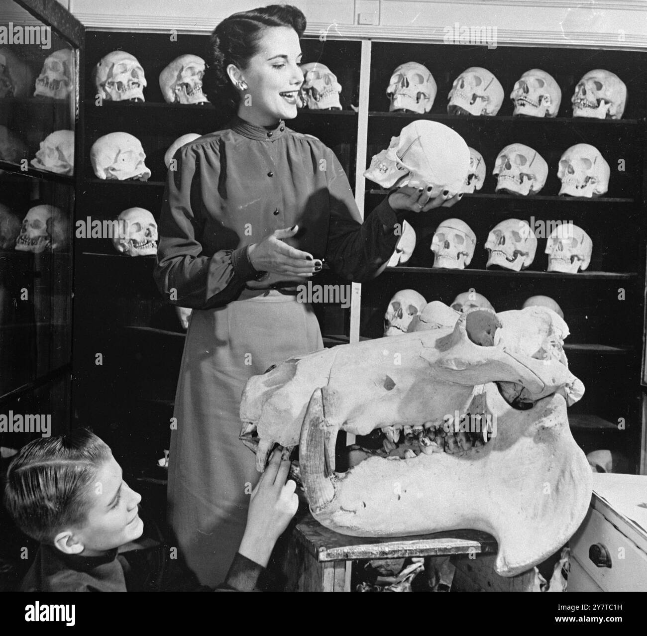 Ahimè, il povero Yorrick recita un visitatore, non a Elsinore, al Castello di Amleto, ma al Ward Natural Science Establishment di Rochester, New York. Ignari del cranio umano , i giovani indagano sul meccanismo di masticazione di un vecchio rinoceronte. La fondazione di Ward , che fornisce teschi animali e umani per le classi di anatomia della scuola secondaria e del collage , è iniziata oltre 60 anni fa . La sua prima mostra consisteva in un solo mammut siberiano . Ma oggi il magazzino vanta esempi di insetti , uccelli , farfalle , rocce , conchiglie e una varietà di scheletri. La maggior parte delle scorte dello stabilimento Foto Stock