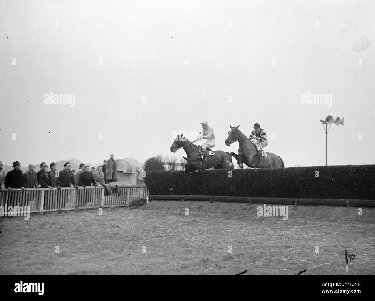 VITTORIA PER il SIGNORE MILDMAY A KEMPTON PARK OGGI Lord Mildmay ha cavalcato il suo cavallo, Manicou, alla vittoria di oggi in modo ripido nel primo giorno della riunione di marzo a Kempton Park. Il secondo è stato l'Hislet del signor Arthur Tailor, K.. Mullins Up, e terzo, Tripani della signora P.H.Green-acre. IMMAGINI:- il Signore MILDMAY su Manicou (a sinistra) e K. Mullins su Hislet , facendo l'ultimo salto insieme nel Manor Steeple Chase a Kempton Park . 3 marzo 1950 Foto Stock