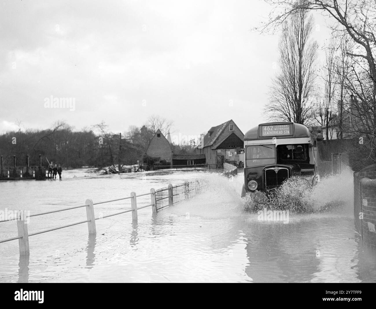 A TUTTO VAPORE NELLE INONDAZIONI DEL SURREY 3 febbraio 1950 pullman che sfreccia nelle acque profonde oggi (venerdì) a Cobham, nel Surrey, dove il fiume Mole è traboccato a seguito di forti piogge. Foto Stock