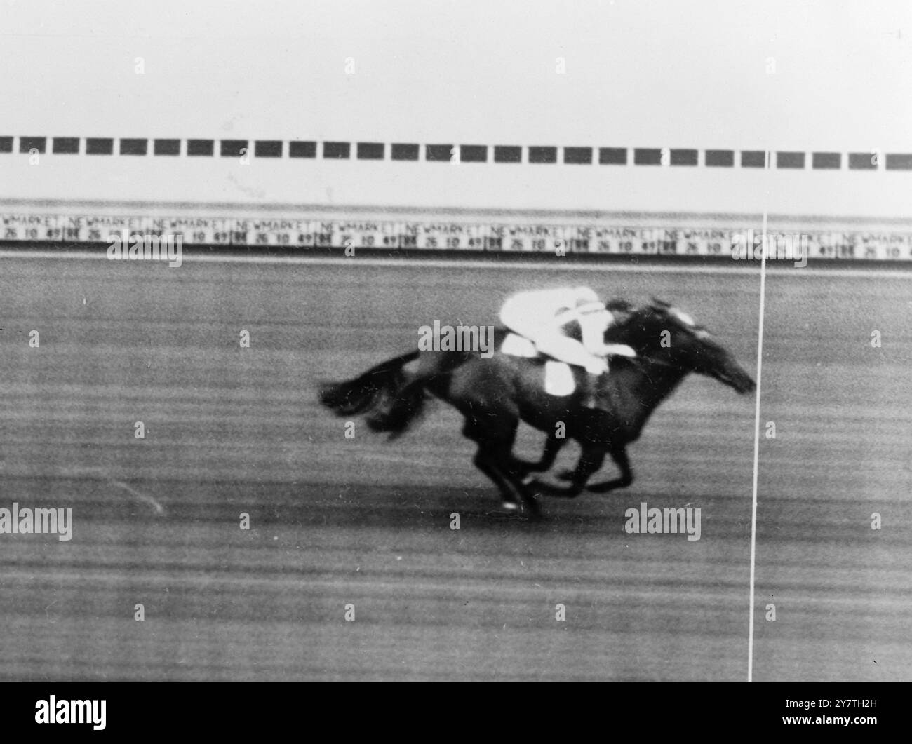 LA SECONDA FOTO DEL CAMBRIDGESHIRE PHOTO-FINISH DI STEROPE questa è la foto ufficiale del Cambridgeshire handicap corsa a Newmarket oggi in una delle peggiori precipitazioni mai conosciute in una grande gara. La STEROPE di Mr. B. Townley, guidata da E.C. Elliott, è vista vincere da una testa di Mr. J. Bullock's GOOD TASTE (D.. Smith Up). (Mr.H.E.. Il MEYSEY HAMPTON di Prettyman era terzo a tre lunghezze). Questa è stata la seconda vittoria del Cambridgeshire di Sterope, a portare il massimo peso di 9 pietre.4 libbre.-2 libbre in più rispetto a quando ha vinto la gara l'anno scorso. Ottobre 26 1949 Foto Stock