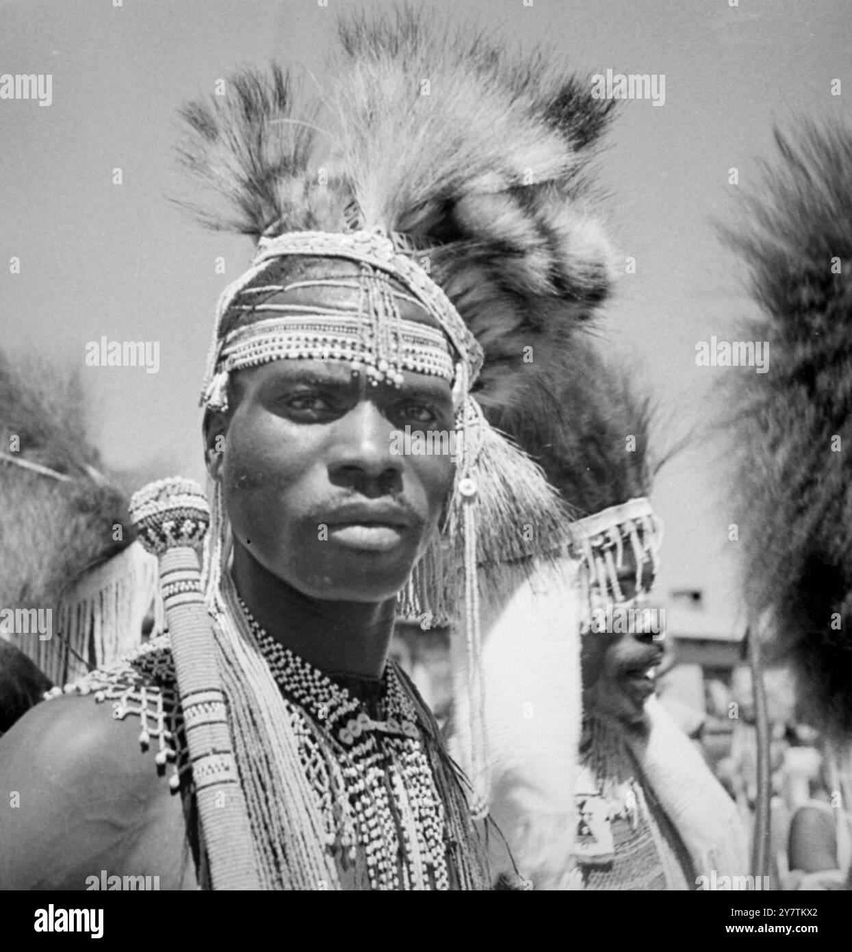 Tour reale del Sud Africa - visita a New Brighton la famiglia reale ha guidato in processione attraverso molte miglia di strade a New Brighton , occupate prevalentemente da famiglie di Xosa e di altre razze native di Bantu. Queste persone si sono rivelate a migliaia di persone per fiancheggiare le strade di fronte alle loro case nelle tenute abitative , e le auto reali hanno guidato per più di un'ora tra le linee di applausi e di sventolamento , passando molte feste di ballerini nel loro abbigliamento cerimoniale nativo per l'occasione reale. Spettacoli fotografici: Un uomo in abito cerimoniale che era tra la popolazione nativa che ha dato Thir Majest Foto Stock