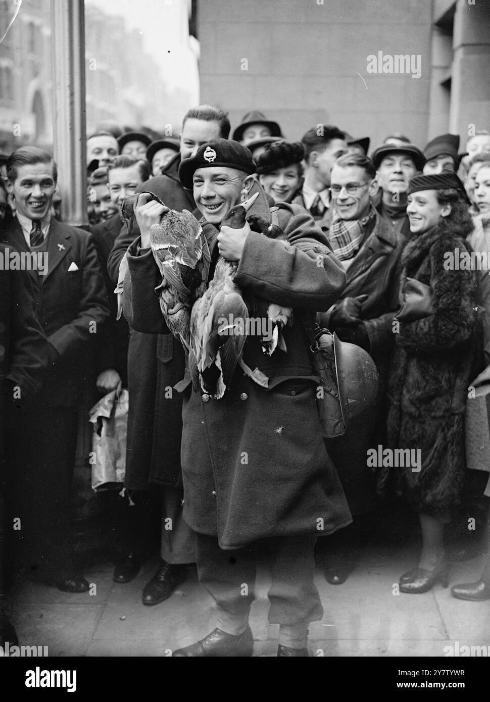 QUESTO SOLDATO INTENDE AVERE Una BUONA CENA DI NATALE spettacoli fotografici: Un caporale del corpo dei carri armati che scappa con quattro anatre, che vengono vendute a tre scellini ciascuno a East Lane, Walworth. 22 dicembre 1940 Foto Stock