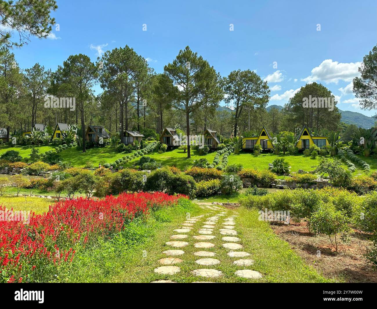 Fuggi nella natura con questa idilliaca scena di affascinanti capanne gialle annidate in un paesaggio lussureggiante, perfetto per viaggi, turismo ed eco-consapevole Foto Stock