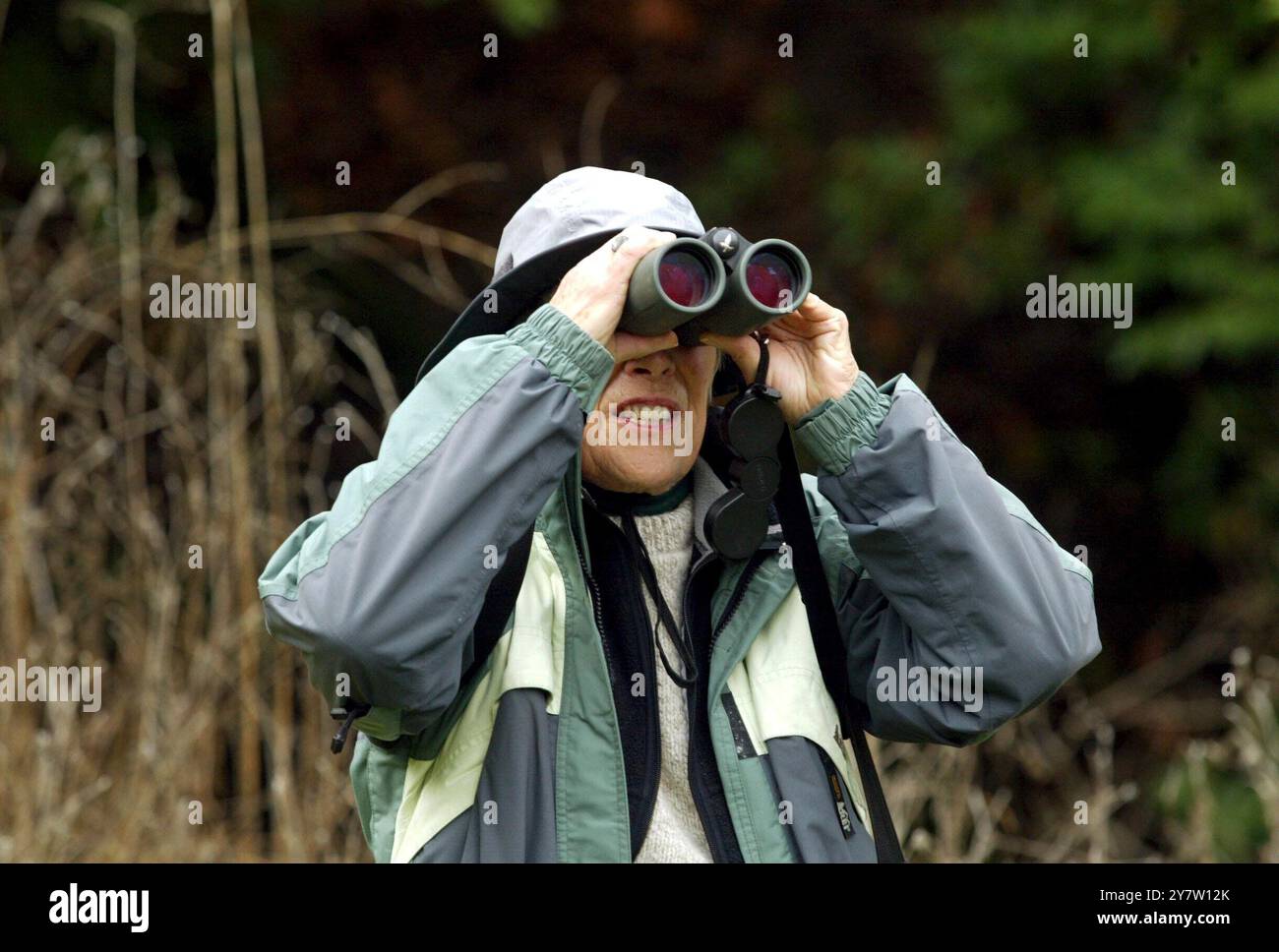 Milptas, California, Harriet Gerson con la Santa Clara Valley Audubon Society osserva gli uccelli per contare domenica 15 dicembre 2002 al ed Levin Park di Milptas, California, durante il conteggio annuale degli uccelli. Il Christmas Bird Count è una tradizione di 103 anni della National Audubon Society, che ha iniziato a scoraggiare la pratica una volta comune della caccia agli uccelli il giorno di Natale. Il periodo di conteggio ufficiale va dal 14 dicembre al 5 gennaio, e i capitoli di Audubon possono scegliere qualsiasi giorno all'interno di quelle settimane per i loro conteggi giornalieri. A livello nazionale, più di 50.000 birders partecipano in genere ai conteggi annuali. Loro d Foto Stock