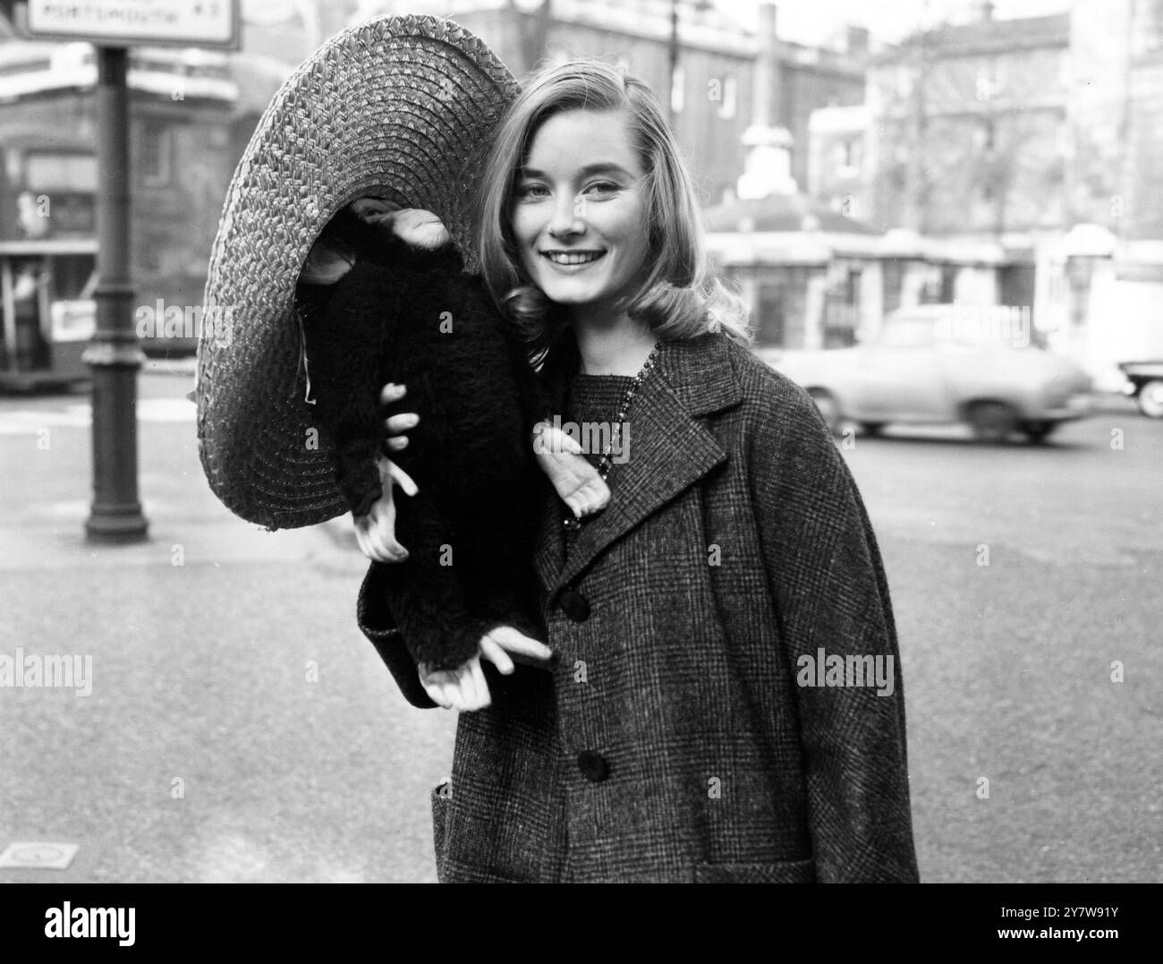 Tania Mallett , a 17 anni , la più giovane di un gruppo di sei modelle londinesi , porta il monkley Oswald , indossando un cappello di paglia , al Brompton Air Terminal . Le altre cinque modelle stanno volando a Salisbury , nella Rhodesia meridionale , durante la prima tappa di un tour britannico del festival della moda dei Rhodesias . Esporranno il meglio della moda britannica , come creato dai migliori couturier londinesi . Questo è il secondo di una serie di festival della moda britannici che si svolgono ovunque . Le ragazze faranno un lungo tour, prima di tornare il 26 febbraio 31 gennaio 1959 Foto Stock