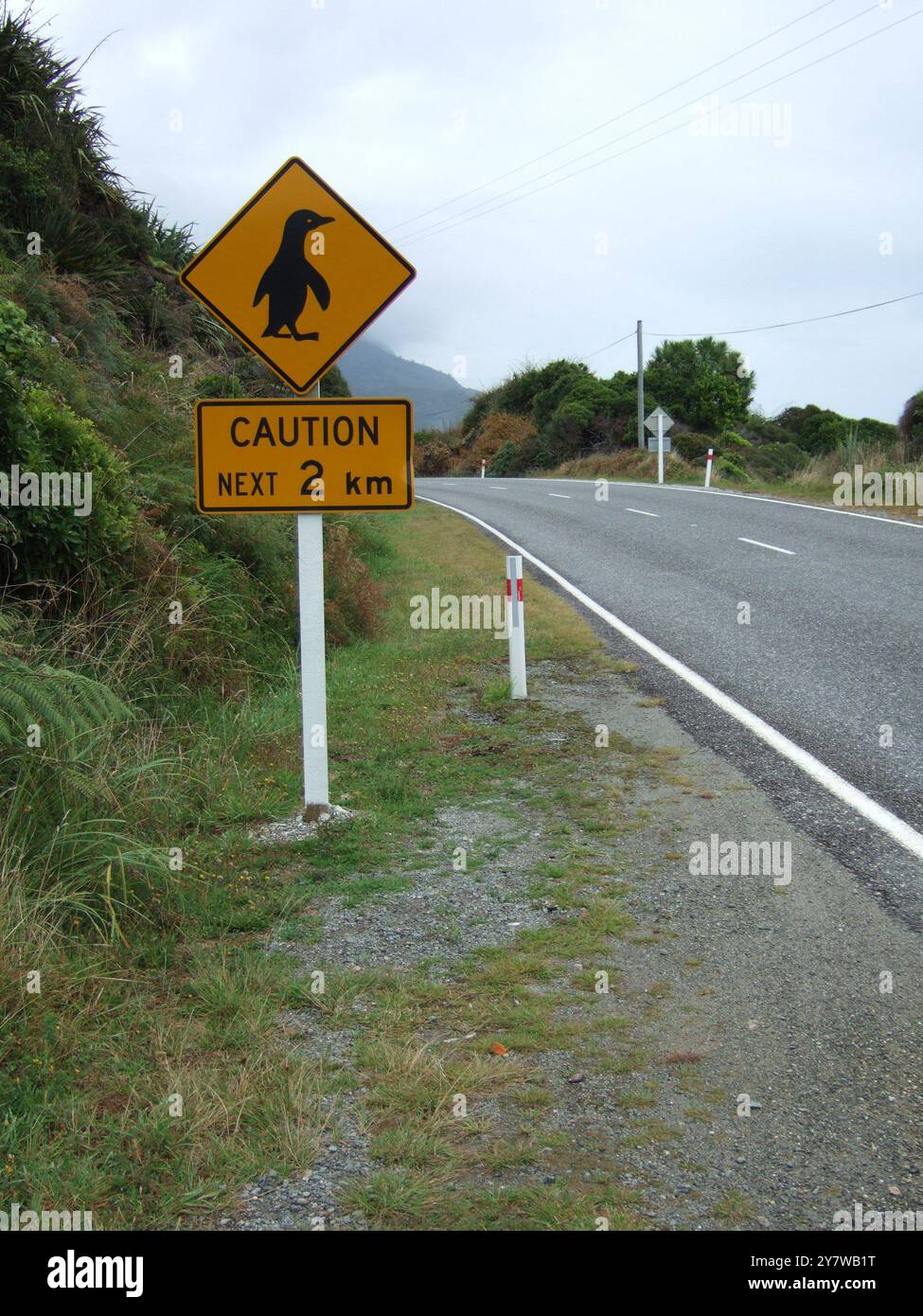 Segnaletica stradale per l'attraversamento dei pinguini vicino a Punakaiki Punakaik, costa occidentale, Isola del Sud, nuova Zelanda - 2006 ©2006 Credit:TopFoto / AMS Foto Stock