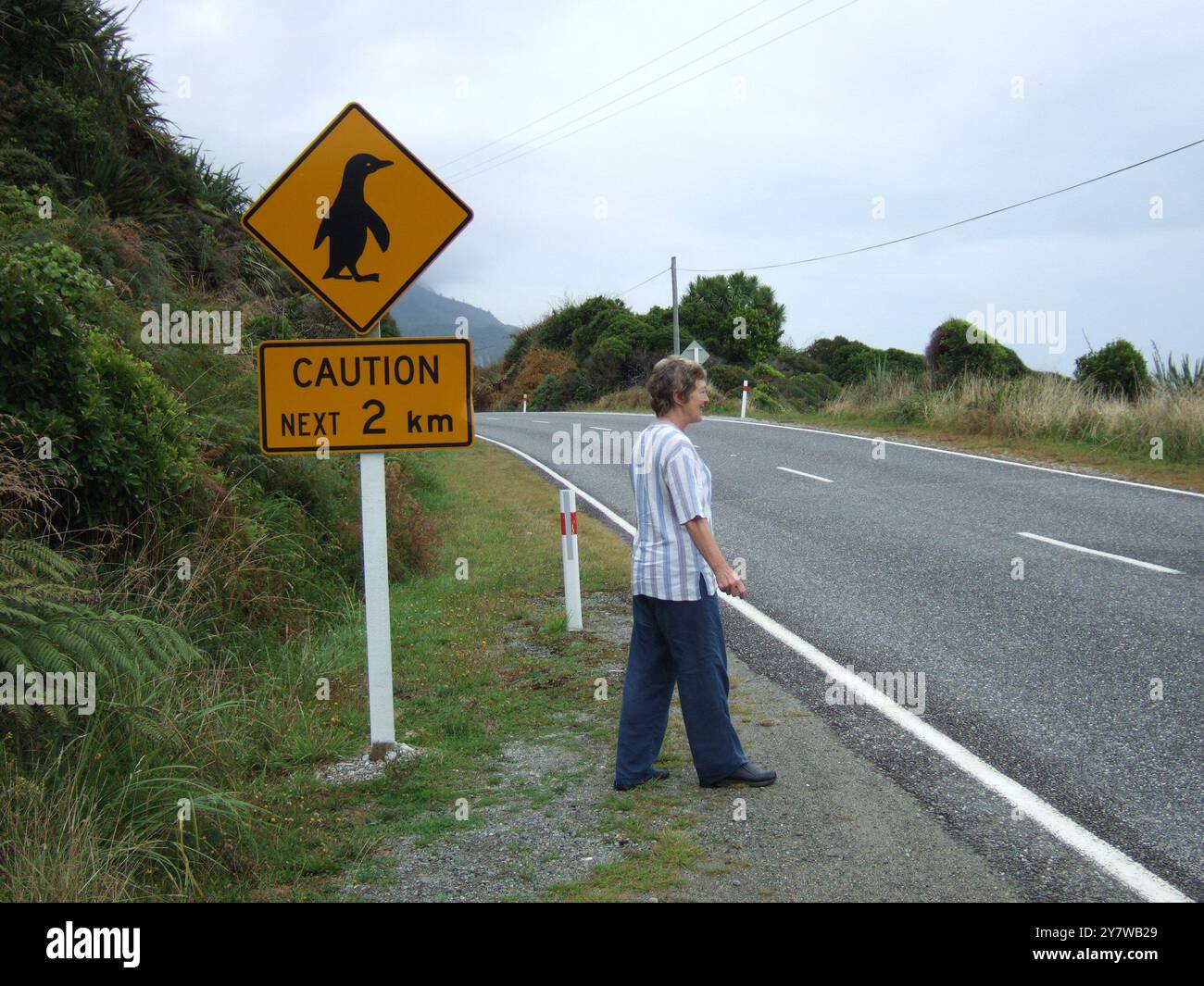 Segnaletica stradale per l'attraversamento dei pinguini vicino a Punakaiki Punakaik, costa occidentale, Isola del Sud, nuova Zelanda - 2006 ©2006 Credit:TopFoto / AMS Foto Stock