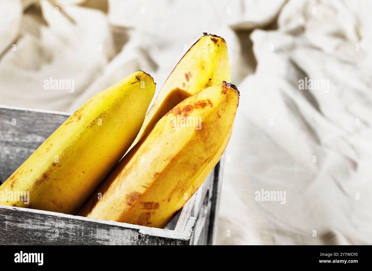 Frutta di banana commestibile in scatola su sfondo colorato, , mangiare sano Foto Stock