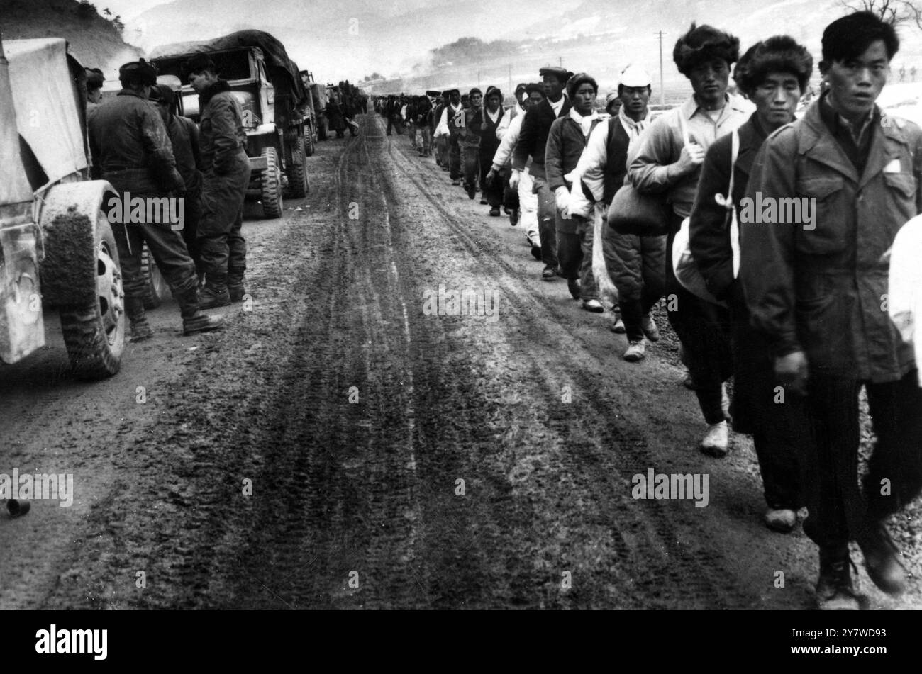 Il lungo Hard Road to Safety Refugees , i loro volti depressi riflettono l'amara storia del loro lungo e duro viaggio verso sud , passa davanti a un convoglio delle Nazioni Unite fermato mentre camminano in un unico file. 16 gennaio 1951 Foto Stock
