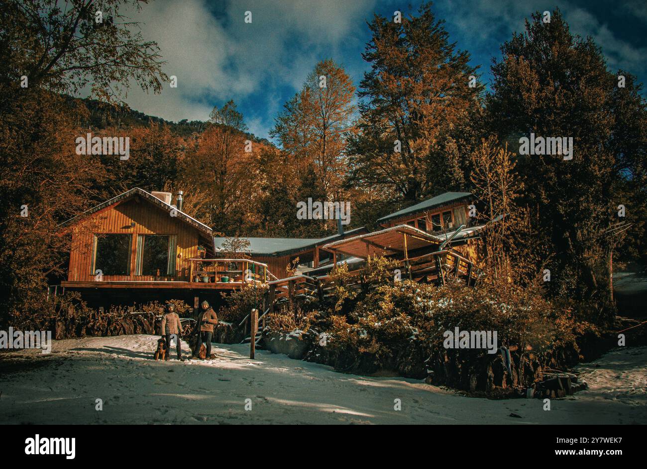 Una casa nella foresta di Araucania Foto Stock