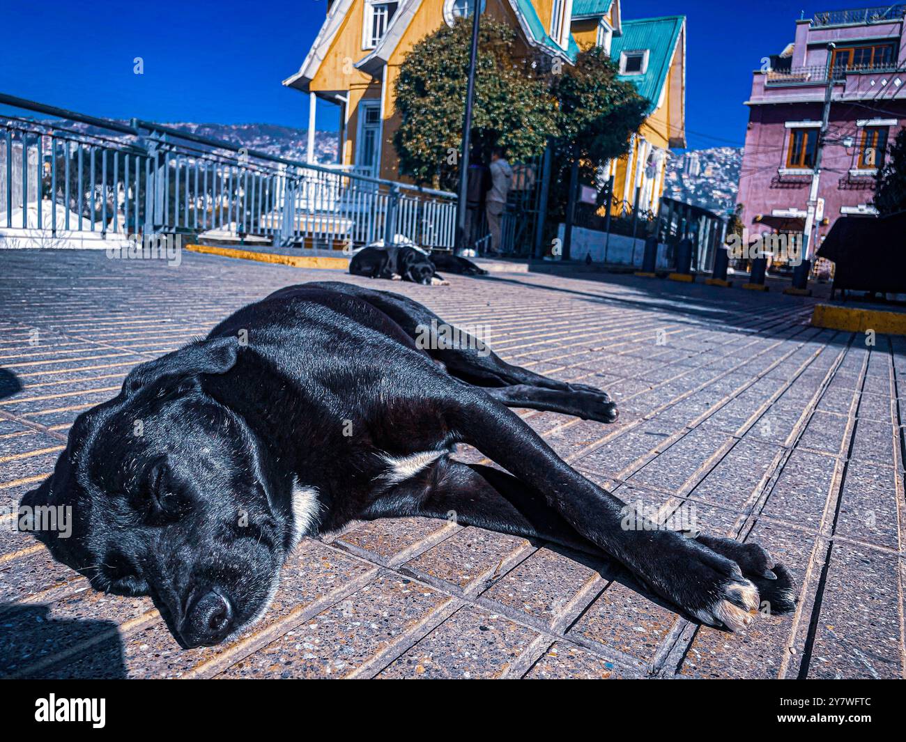 Passeggiando per le strade di Cerro Alegre, Valparaiso Foto Stock