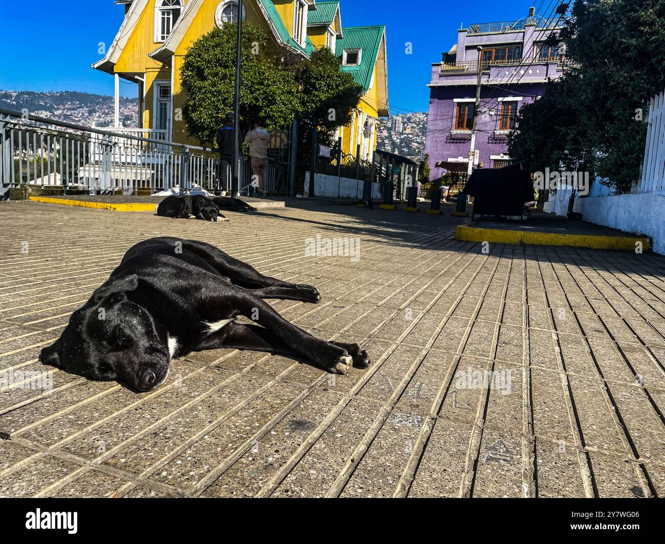 Passeggiando per le strade di Cerro Alegre, Valparaiso Foto Stock