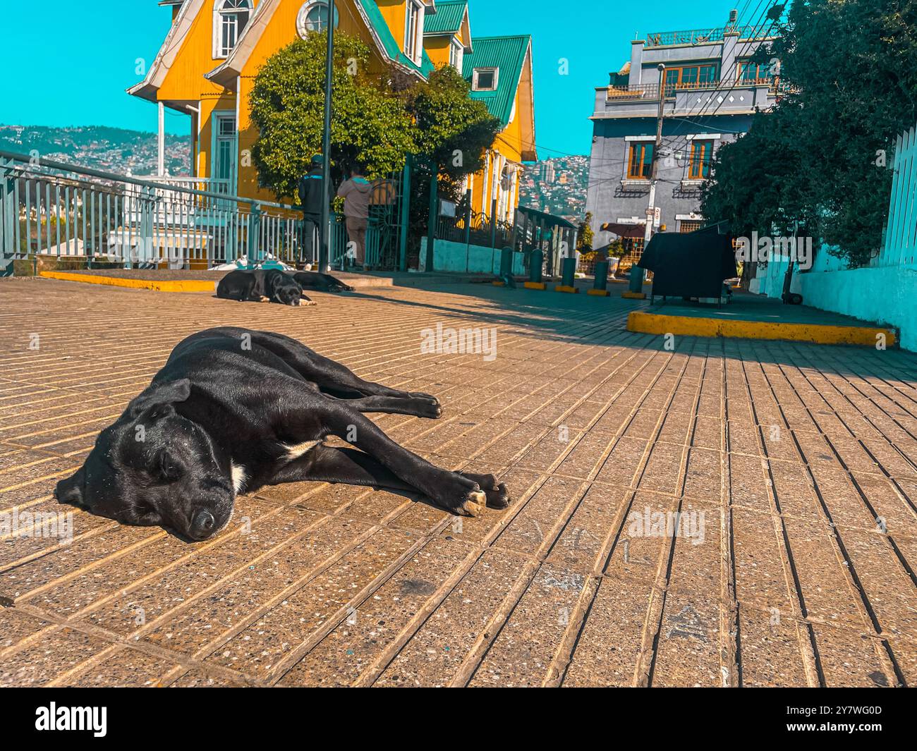 Passeggiando per le strade di Cerro Alegre, Valparaiso Foto Stock