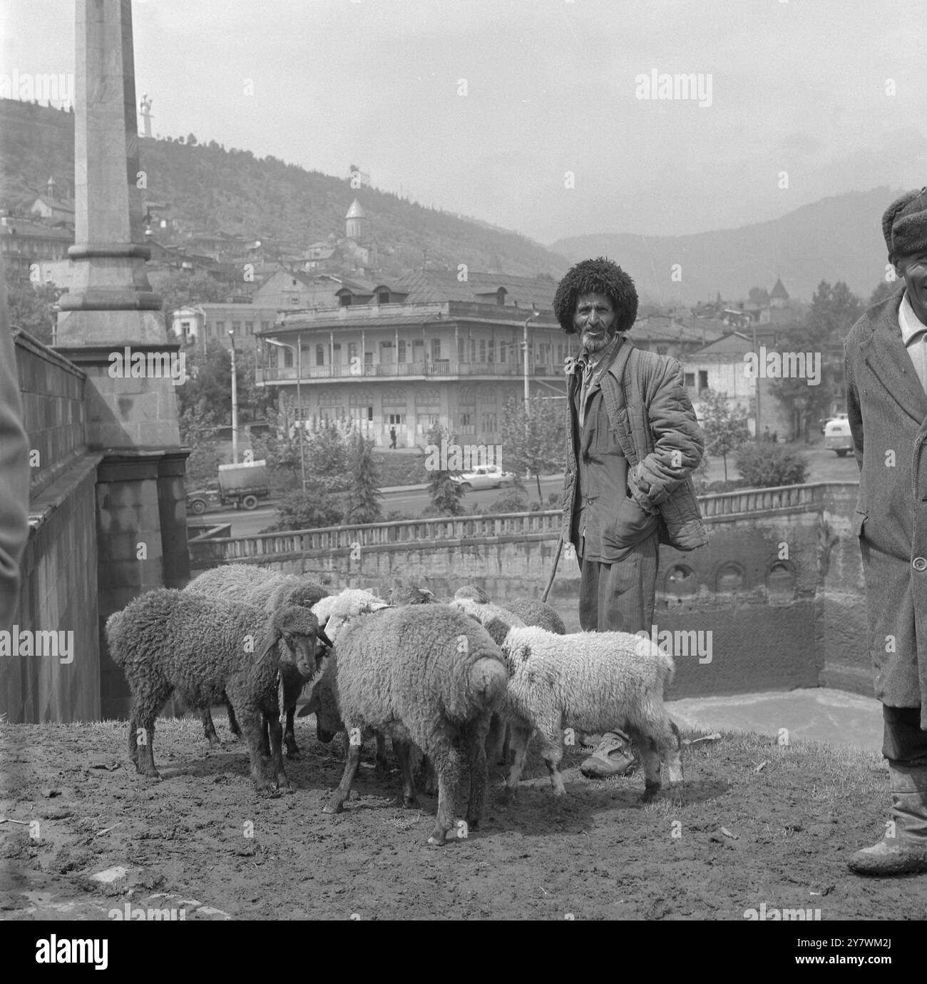 Collective Sheep Farming in Russia - 17 giugno 1964 Un agricoltore collettivo vicino all'antica città di Tbilisi, Georgia, porta le sue pecore su un suo piccolo appezzamento e poi le porta in città per venderle per conto suo. Questo è un metodo perfettamente legittimo, anche se i prezzi probabilmente non saranno rivelati al loro vero valore. Questi agricoltori sono caratteristici del quartiere, con i loro cappelli in lana e le scarpe in pelle di pecora viste alla periferia della città. Crediti: John Topham / TopFoto Foto Stock