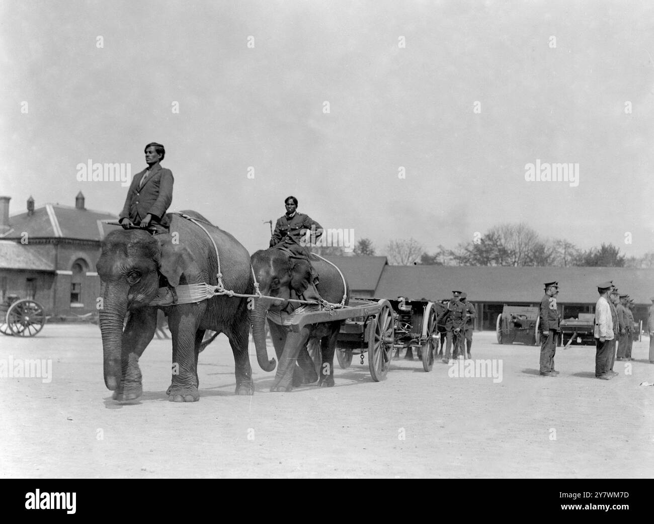 Torneo reale - 1925 una batteria trainata da elefante ( RA Barracks , Woolwich ) 14 maggio 1925 ©TopFoto Foto Stock