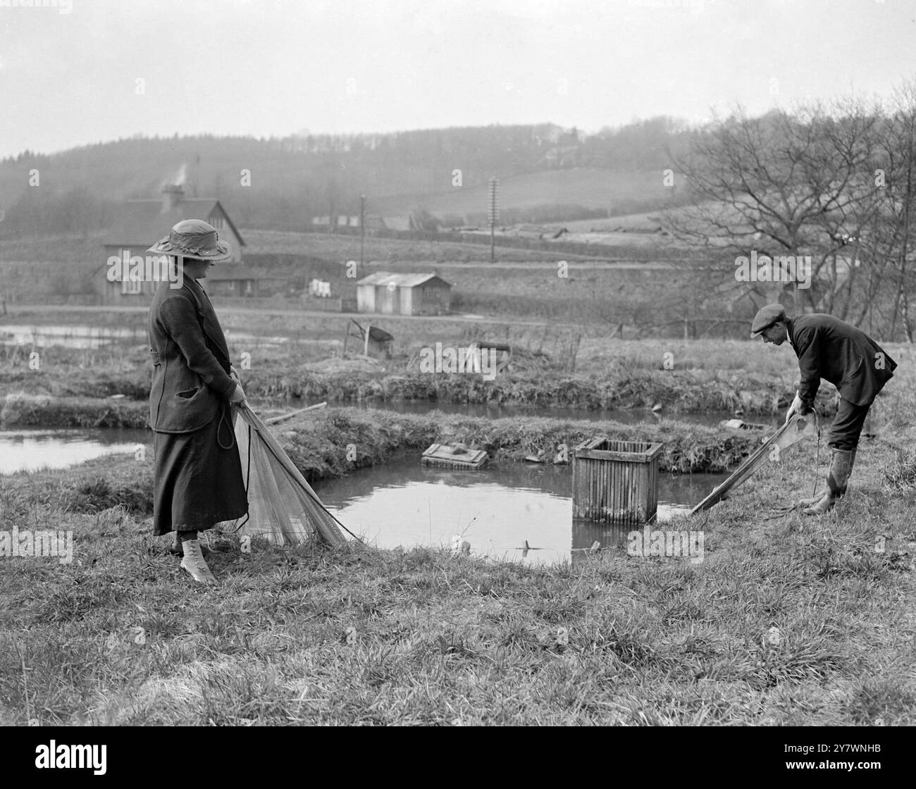 Allevamento di trote al Surrey Trout Farm di Haslemere , Surrey , Inghilterra . 1919 Foto Stock