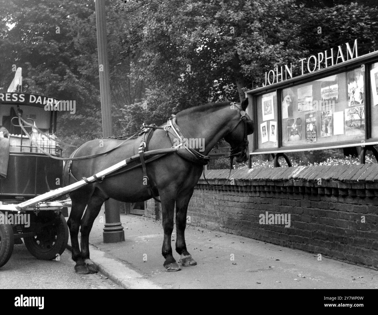 Mostra John Topham a Sidcup - strada principale e carrello per il disegno dei cavalli per l'Express Dairy ©TopFoto Foto Stock