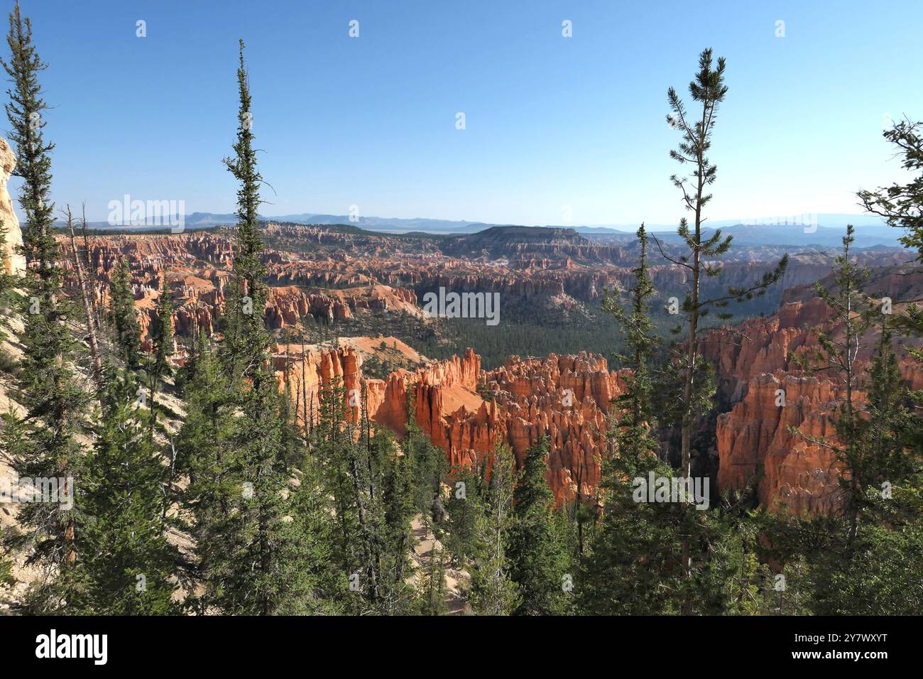 Hoodoos, anfiteatro boschivo e strati geologici stratificati colorati da Bryce Point, Bryce Canyon National Park, Utah sud-orientale. Foto Stock